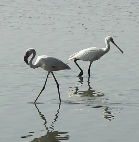 mumbai 2